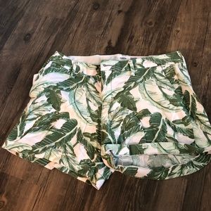 Palm Shorts